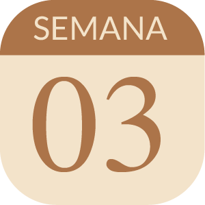 Los Secretos