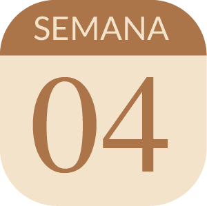 El Ego